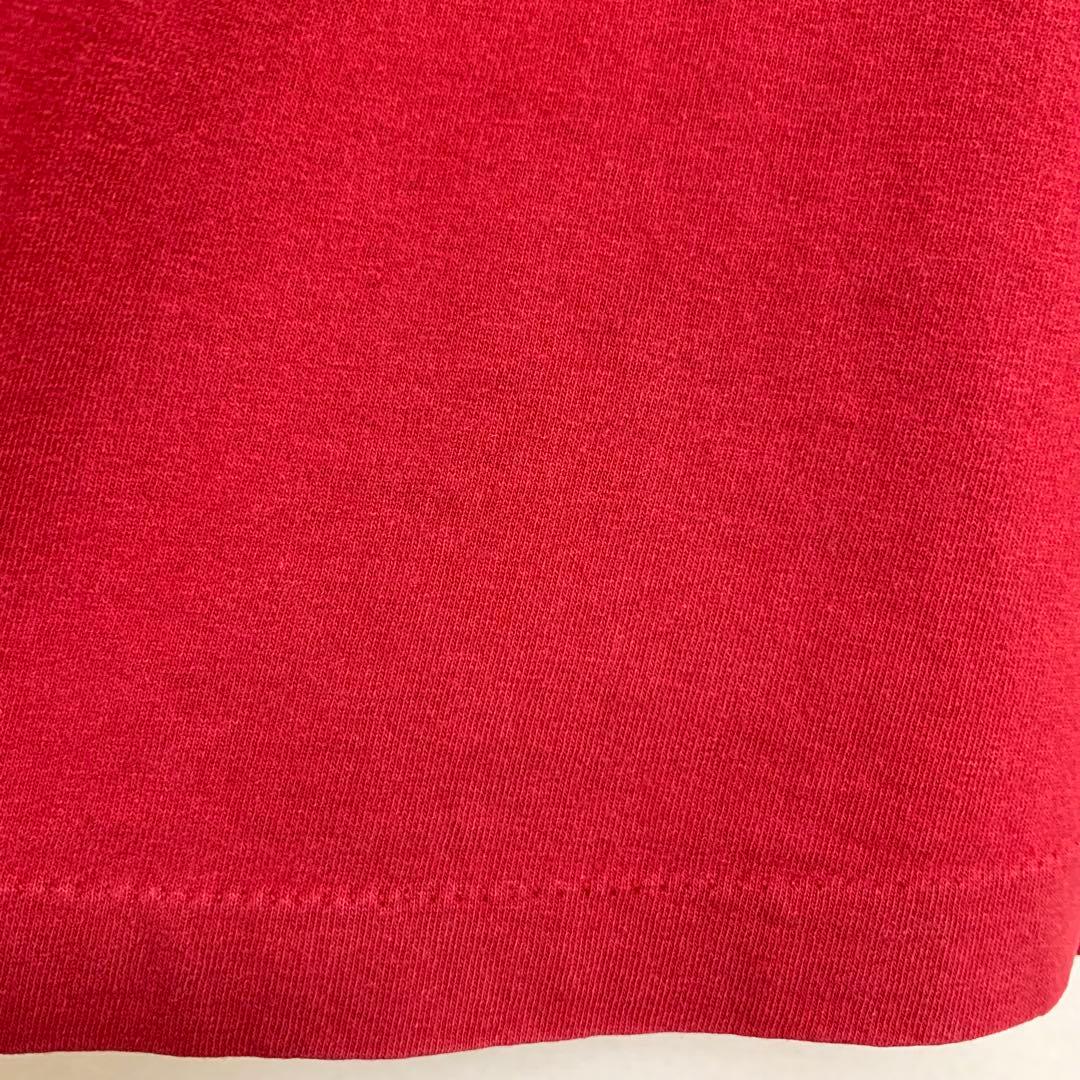 80s 前期 STUSSY USA製 黒タグ ラスタ ライオン Leo Tシャツ