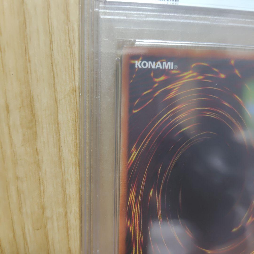 万物創世龍 psa10