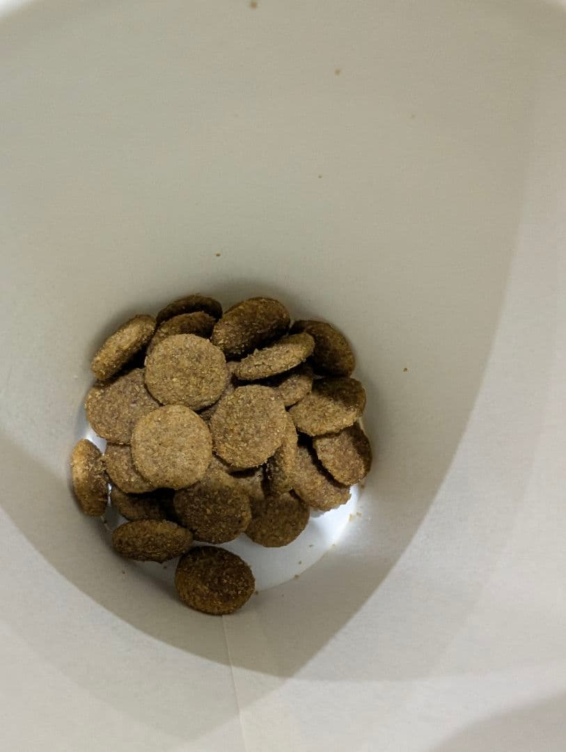 ドッグフード ドライフード 18kg 成犬用