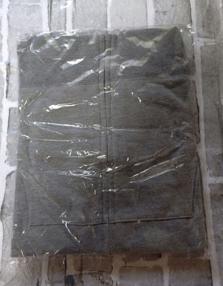 【新品】【Lサイズ】【B'z】【STARS】【Pleasure2023】パーカー