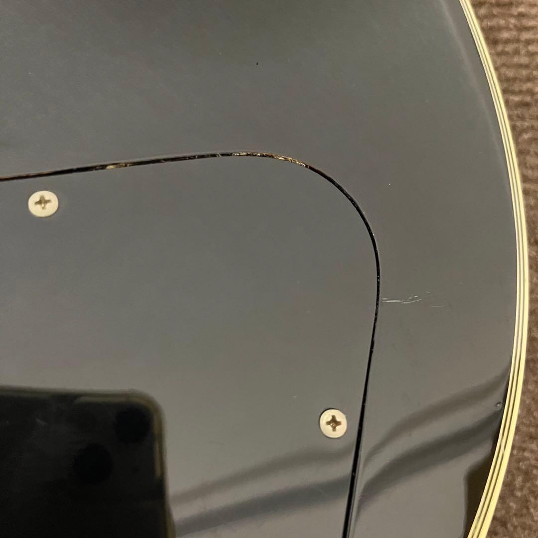 Bunny ギター レスポール SQUADRON ソフトケース