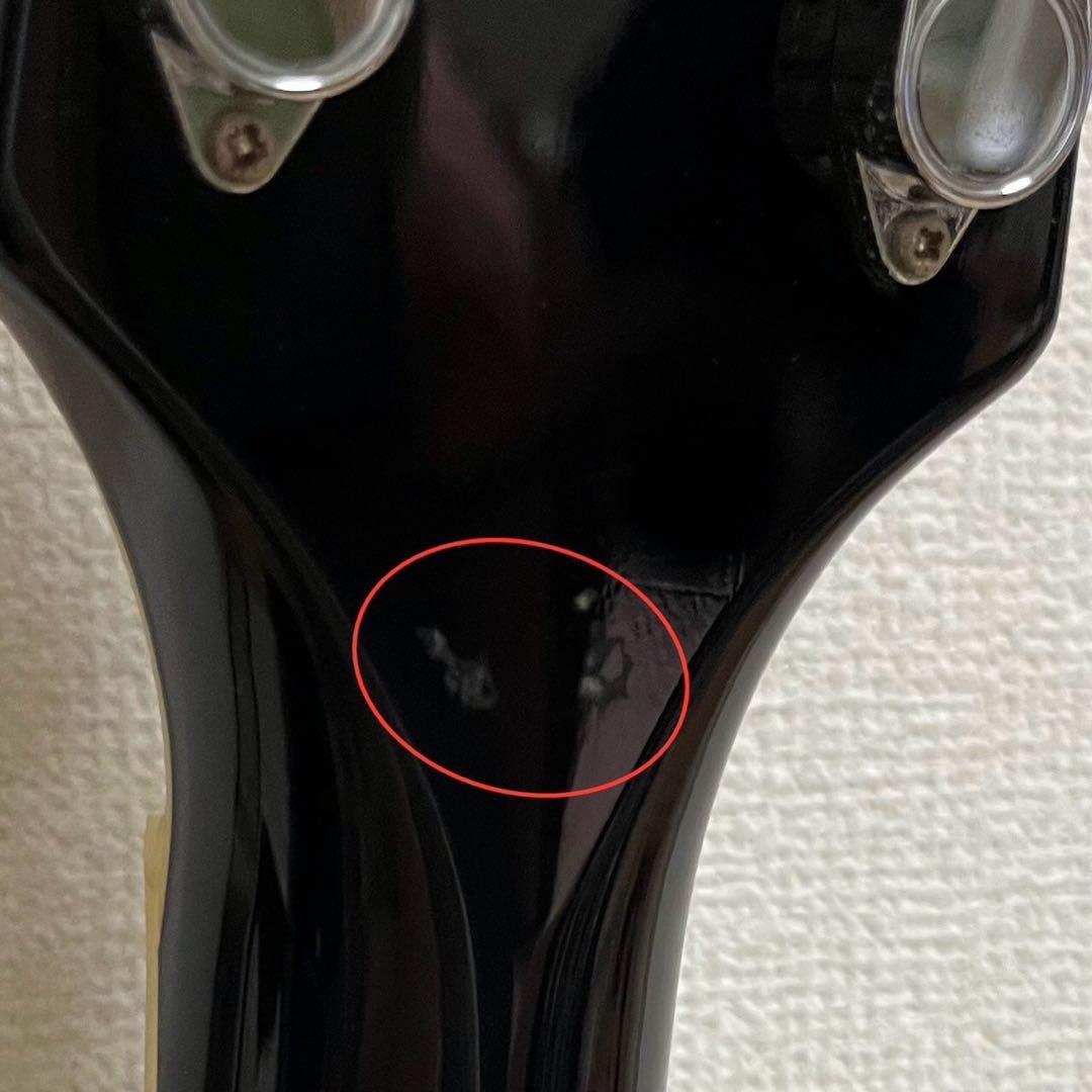 Bunny ギター レスポール SQUADRON ソフトケース