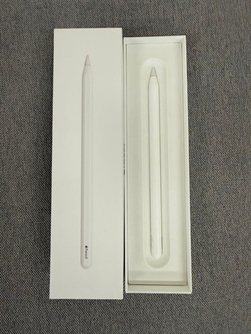 iPad Pro 12.9 第6世代 1TB Wi-Fi cellul