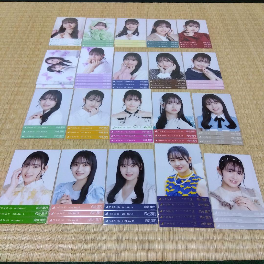 乃木坂46 向井葉月 生写真 コンプ まとめ売り