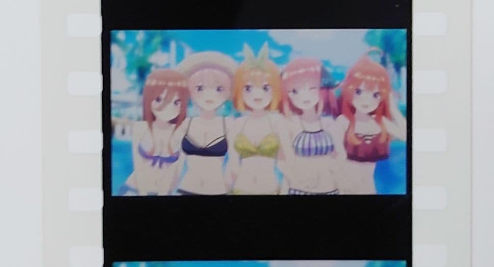 一花 二乃 三玖 四葉 五月 水着 劇場版 五等分の花嫁 第6弾 生コマフィルム