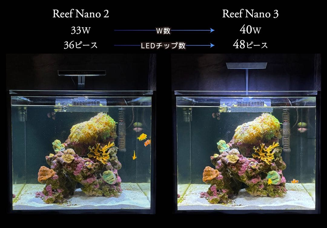 【新品未使用】ORCA シェル2水槽 LEDライト付き キューブ型