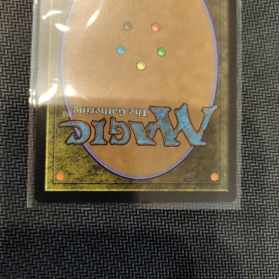 MTG シャドウの愛犬、インターセプター　日本語　拡張Foil　ボーダーレス