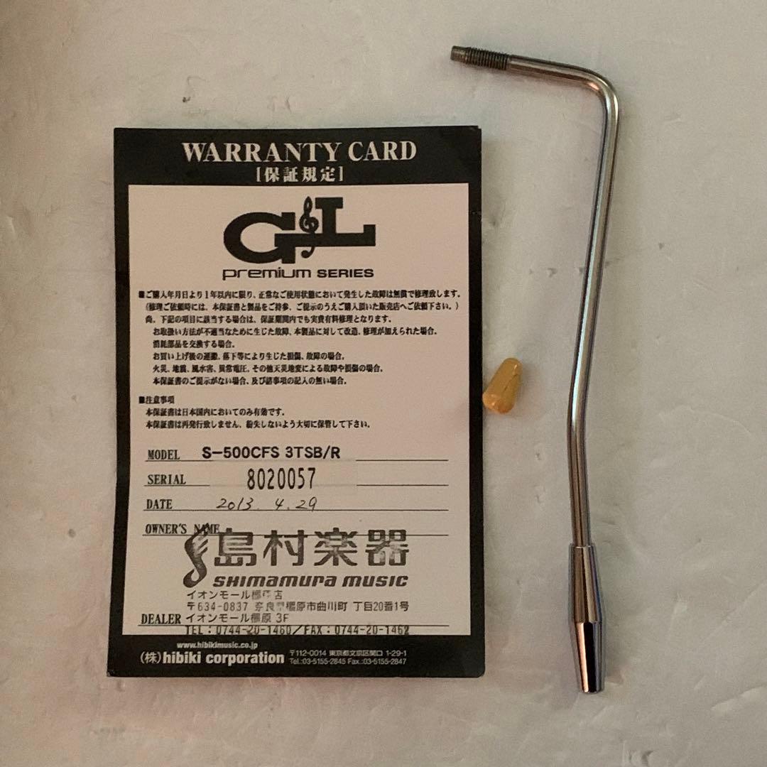 ジャンク G&L S-500 premium