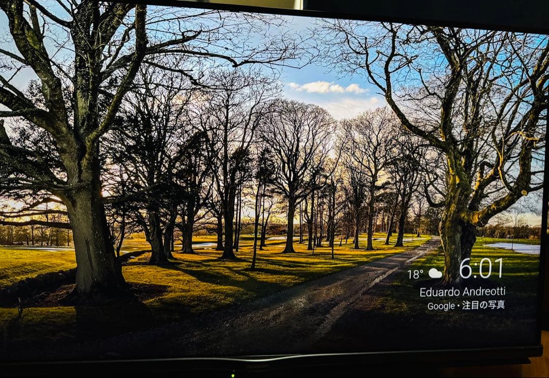 SHARP 4K液晶テレビ　4T-C40AJ1 2018年製