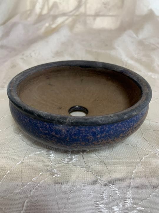 平安虹泉　丸　盆栽鉢