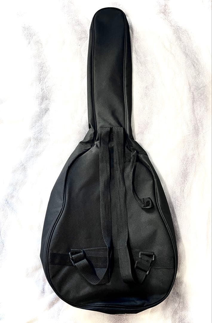 GRETSCH STREAMLINER G2622 FIREBURST セミアコ