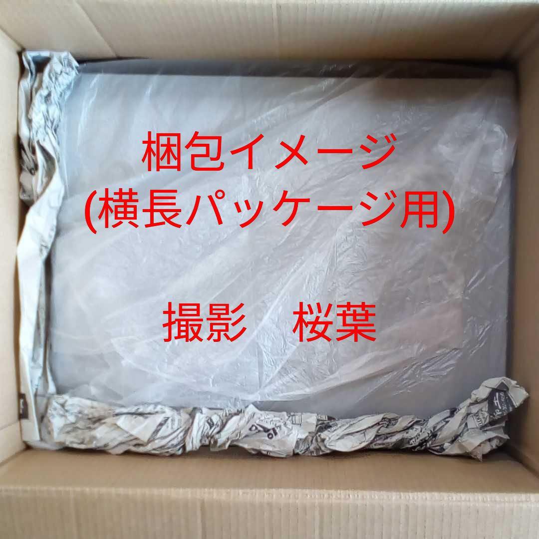 機動戦士ガンダム ガンプラ mg マ・クベ専用グフ ガルマ・ザビ専用ザク 未組立