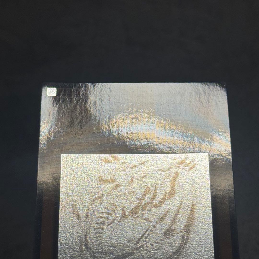 青眼の白龍 ホロ