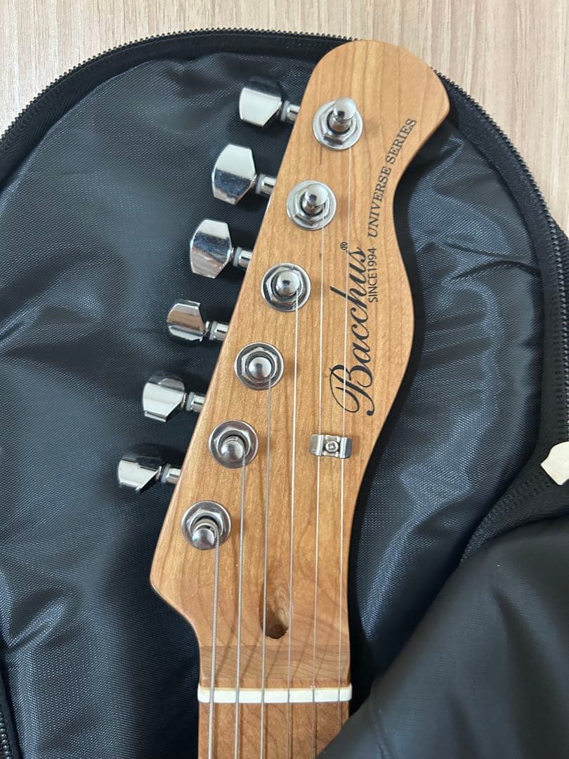 Bacchus テレキャスター BTE-2 エレキギター【最終値下げ】