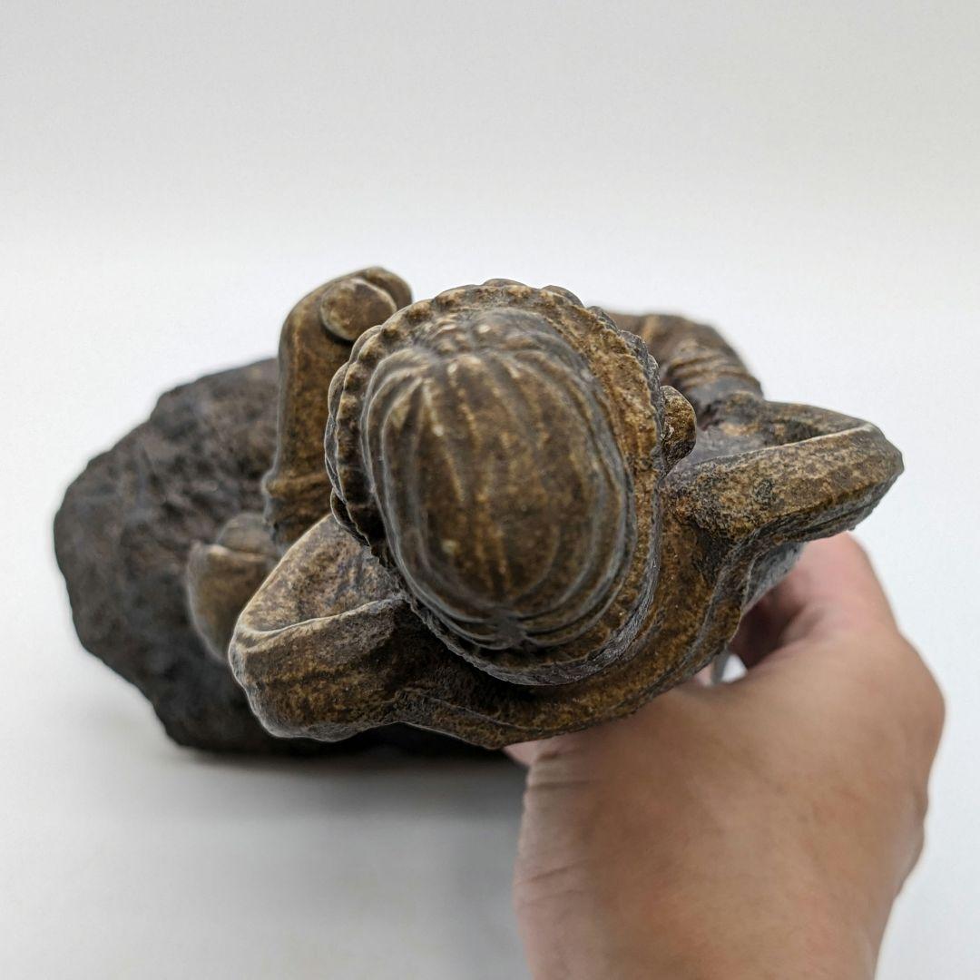 藤原陶臣 備前焼 観音菩薩立像 童 仏像 置物 細工物 工芸品 観音さま 陶像