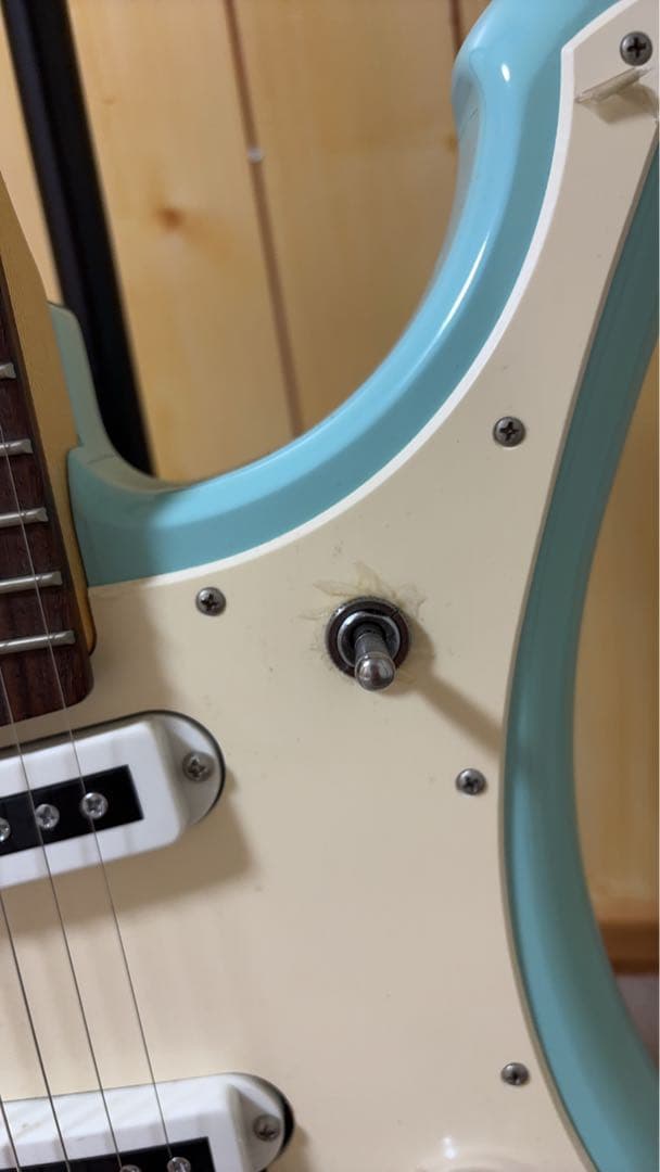 YAMAHA ヤマハ sgv300 ソフトケース トレモロアームストラップ付き