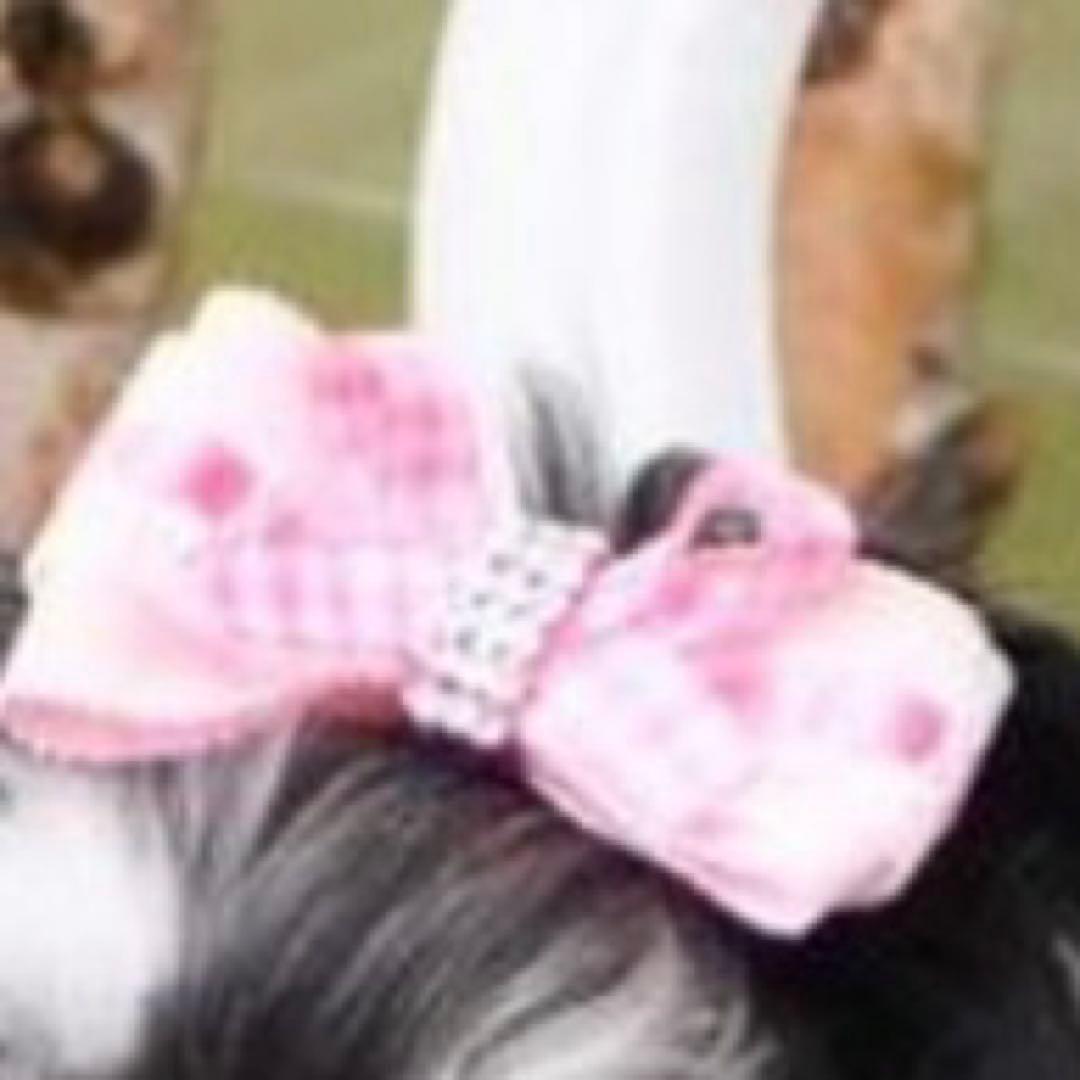 luxebirdie リュクスバーディ ビッシーワンピース バレッタ セット犬服