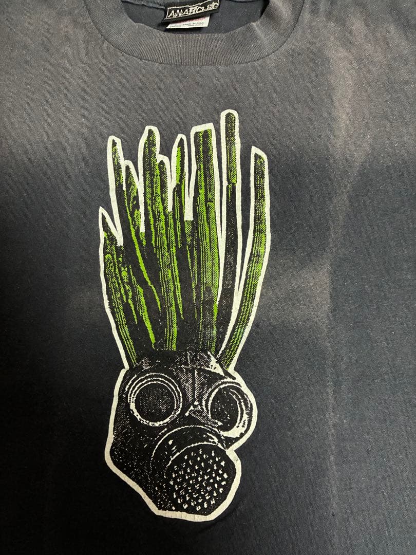 anarchic adjustment 1990 初期パンク