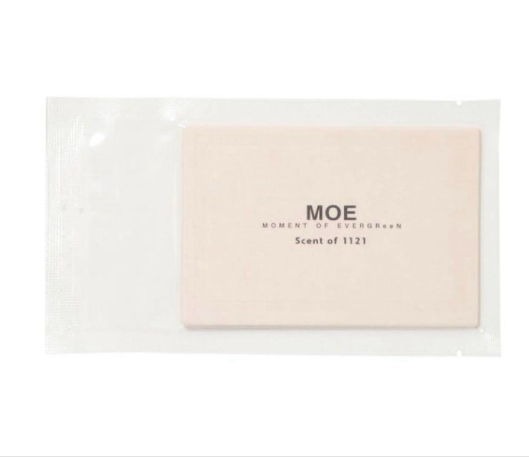 ミュージシャン MOE Logo Hoodie -MOMENT OF EVERGReeN-