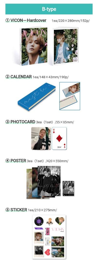 DICON ISSUE N°16 V : VICON 全Type