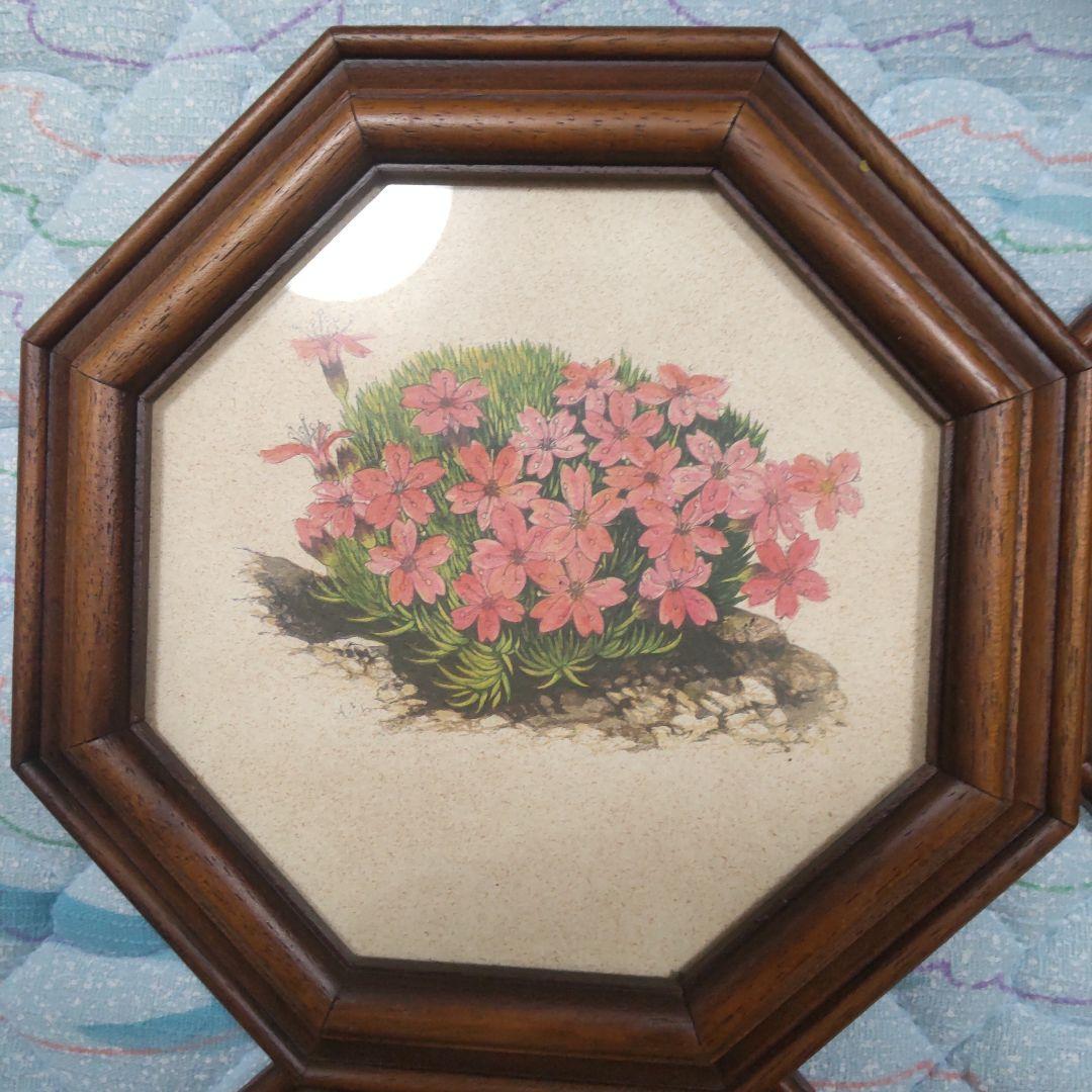 値下げ　ボタニカルアート 　六角フレーム 7点セット！ イタリア製