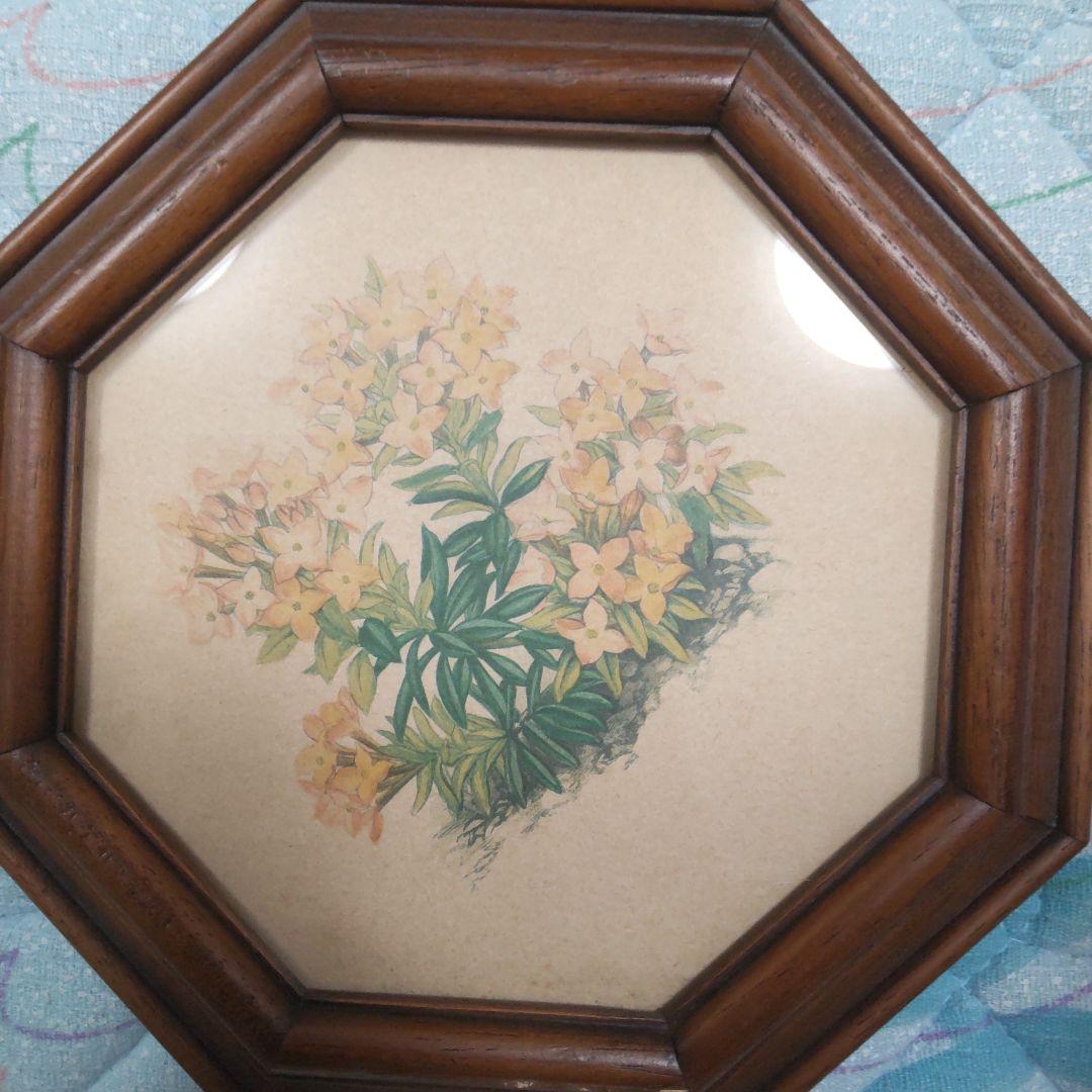 値下げ　ボタニカルアート 　六角フレーム 7点セット！ イタリア製