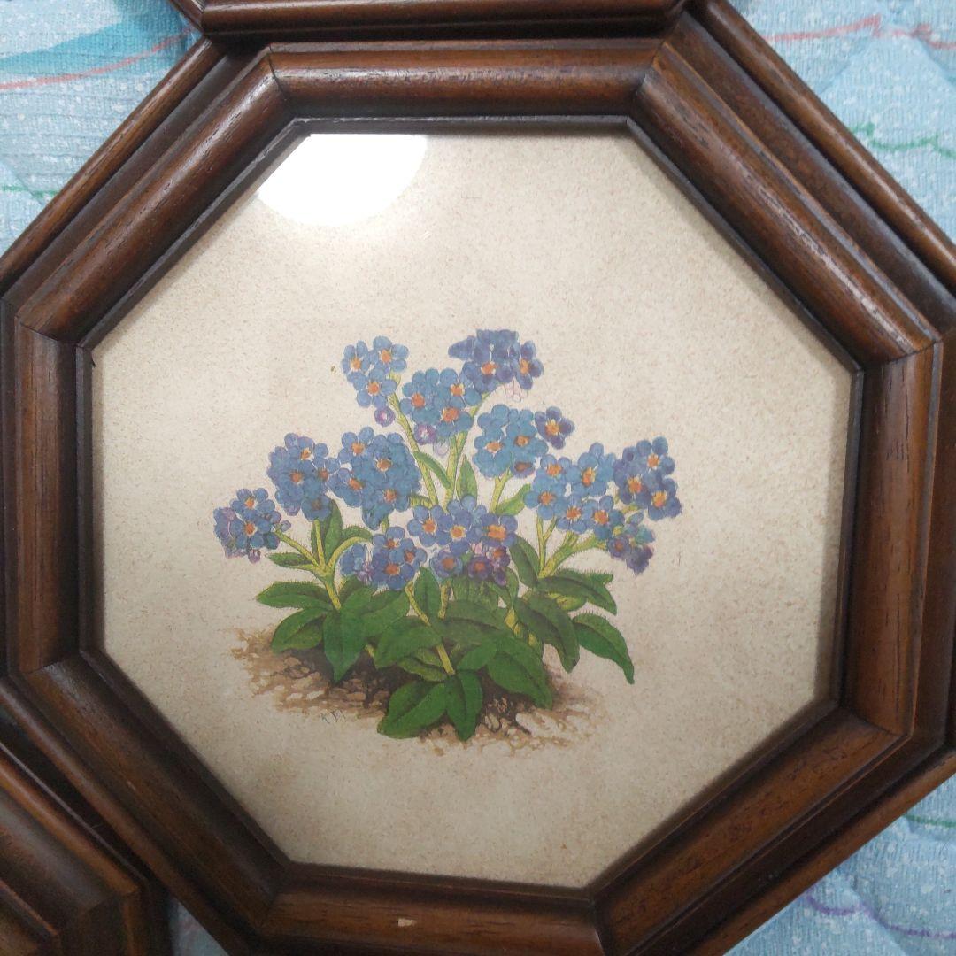 値下げ　ボタニカルアート 　六角フレーム 7点セット！ イタリア製