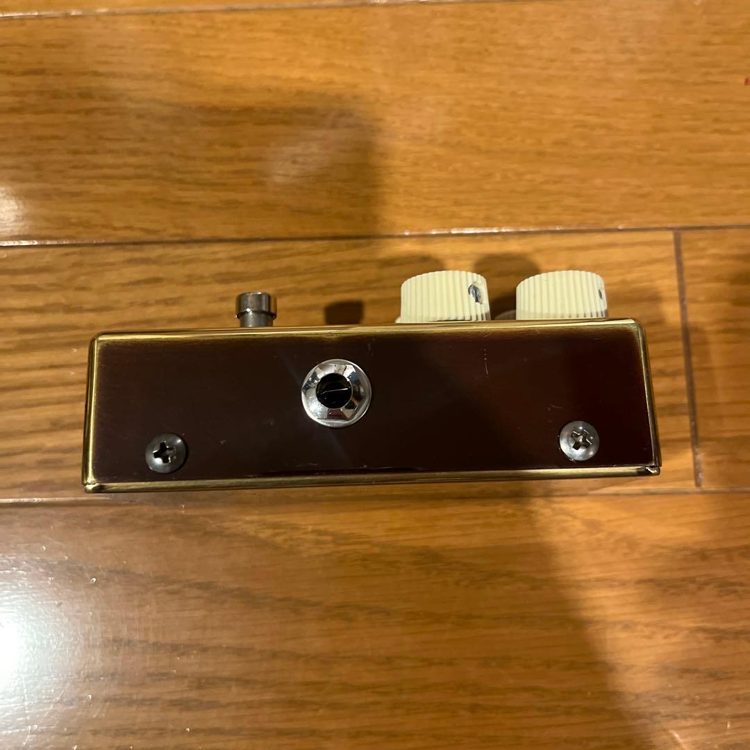 ギター VEMURAM Jan Ray