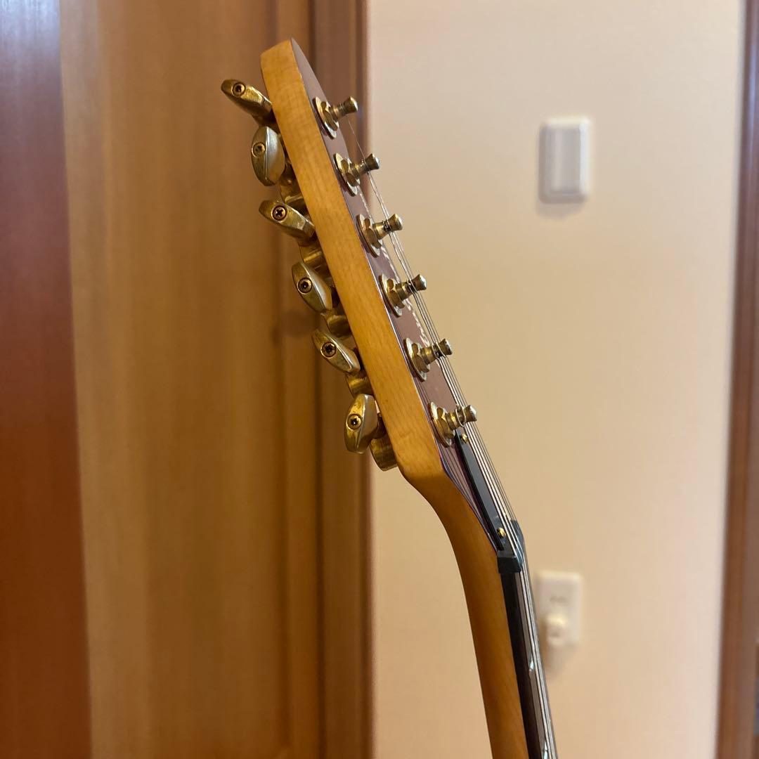 ARIA PRO II Magna Series ゴールドパーツ アーム付