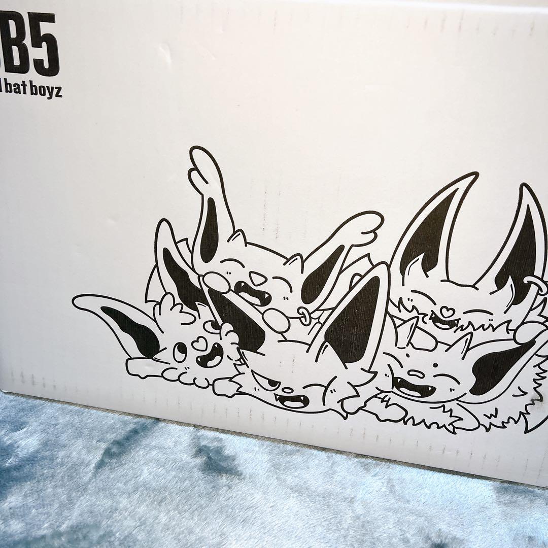 《最終大幅値下げ》コムドット BB5 ひゅうが まとめ売り