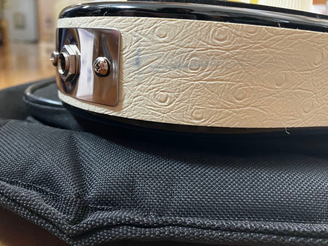 ダンエレクトロ　ギター　美品　ダノプロ　DANOPRO