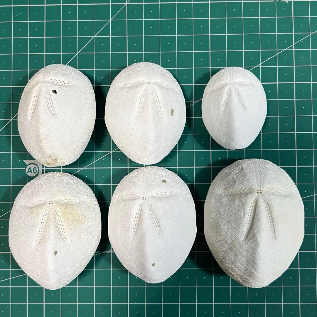 ブンブク　まとめ