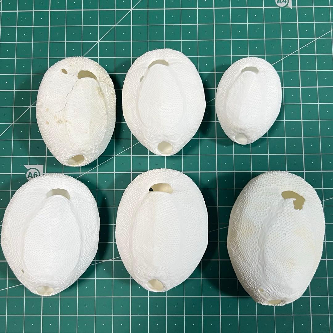 ブンブク　まとめ