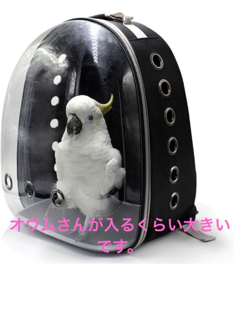 小鳥　ペット　キャリーバッグ　リュック　ピンク　餌入れ付き