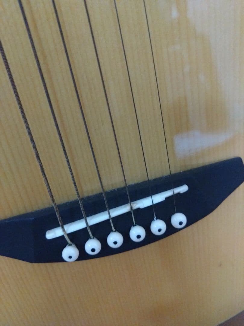 アコースティックミニギター LumberL100MNA ケース他付属品５点