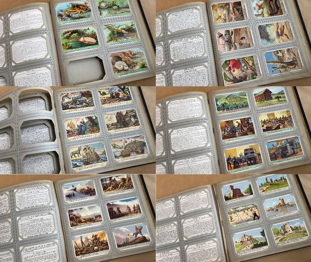 フランス アンティーク カードコレクション