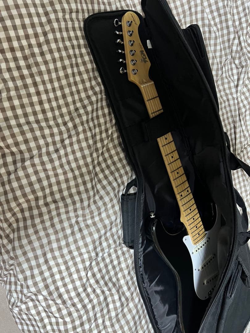 FUJIGEN EST1960 エレキギター