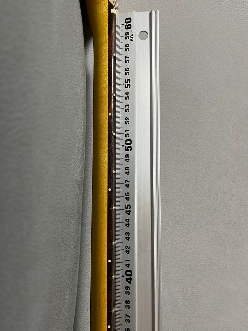 サイケデリズム サイコマスター 2H 24F レア Psychederhythm