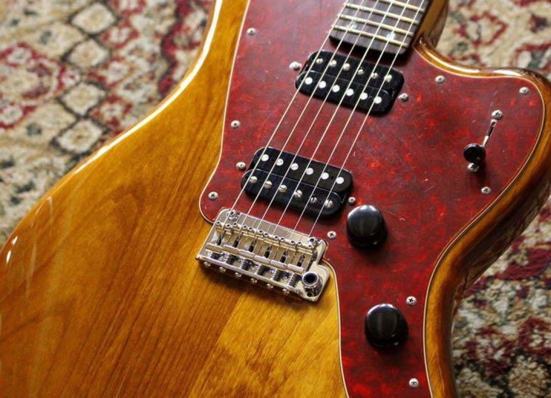 サイケデリズム サイコマスター 2H 24F レア Psychederhythm