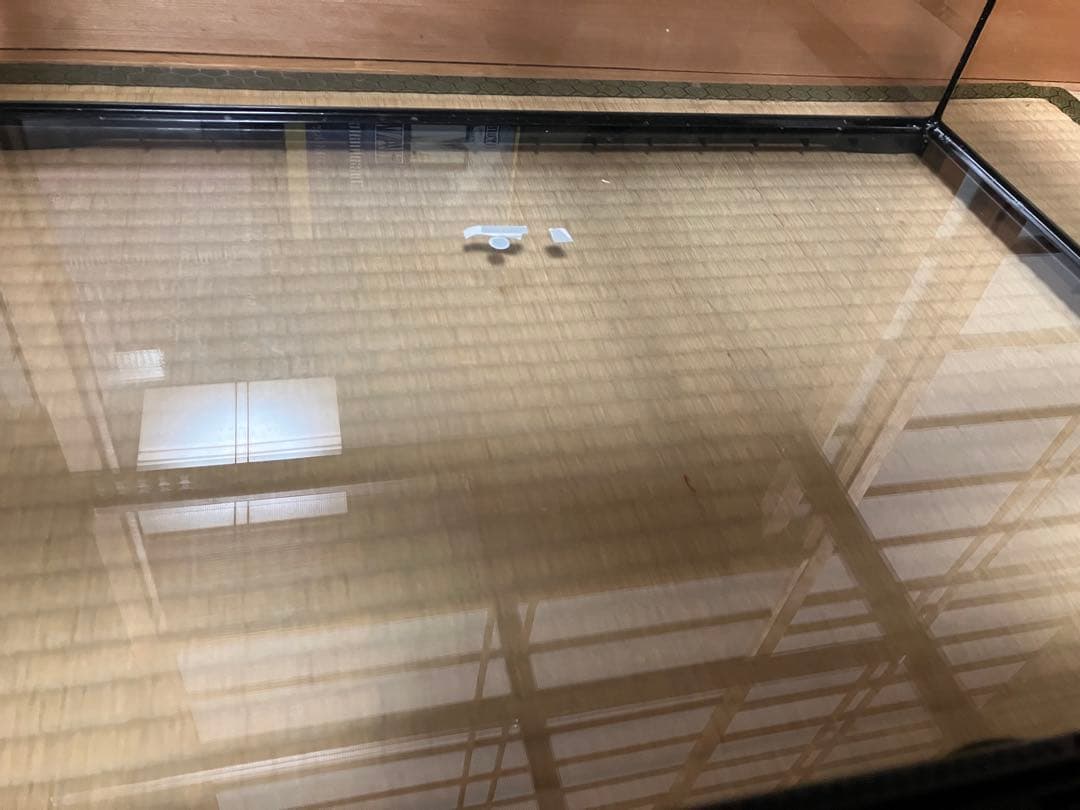 【送料込み】グラステラリウム6030 本体のみ