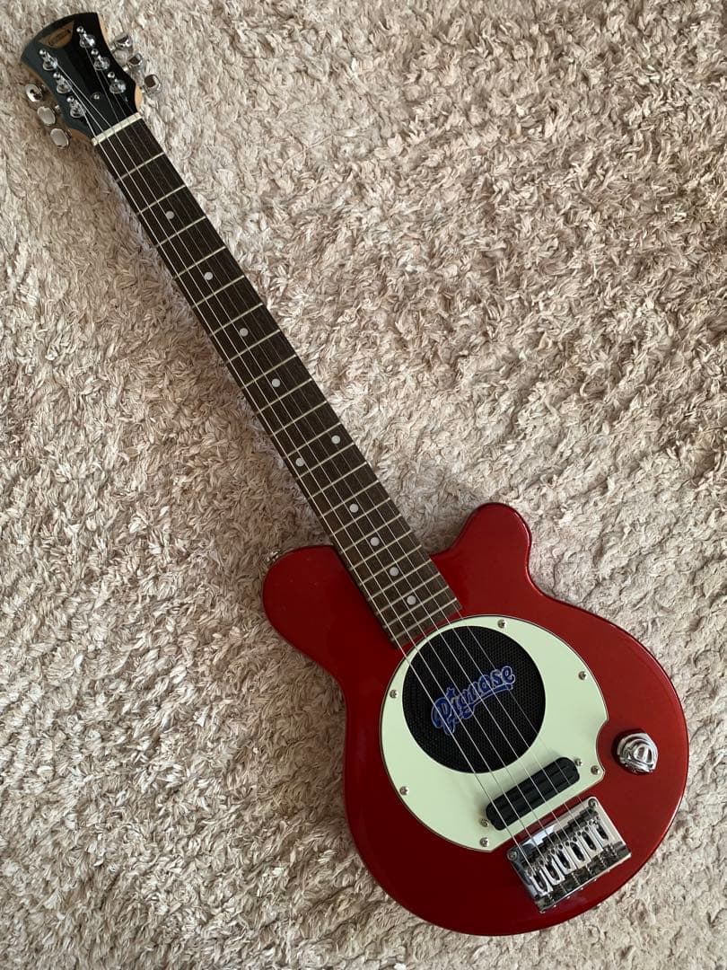 NK　ピグノーズ　PG-200 CA 中古