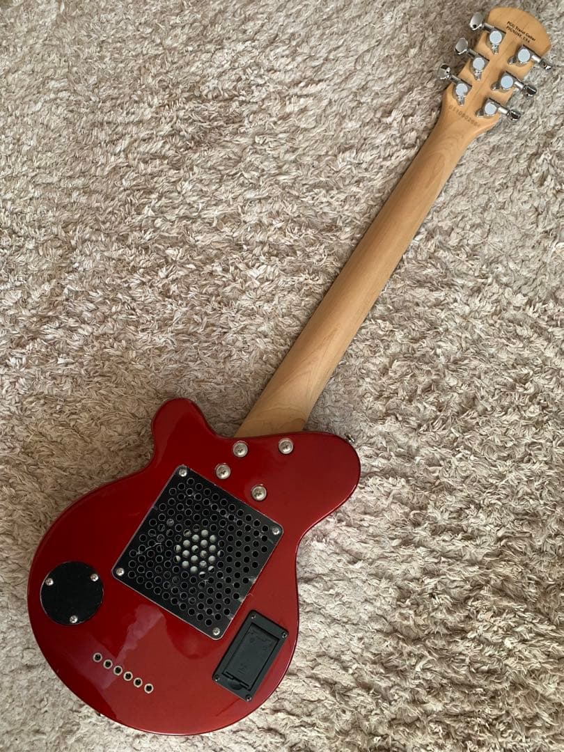 NK　ピグノーズ　PG-200 CA 中古