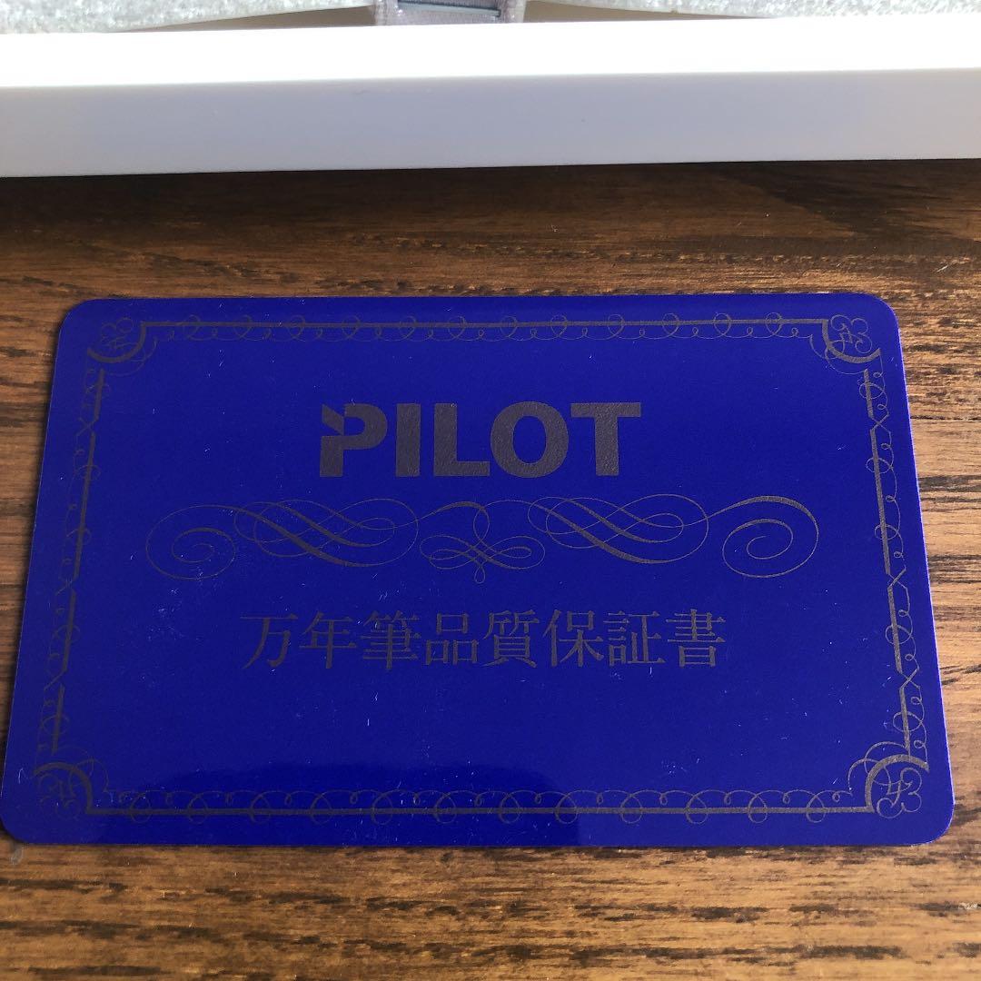 PILOT 万年筆　インク付き