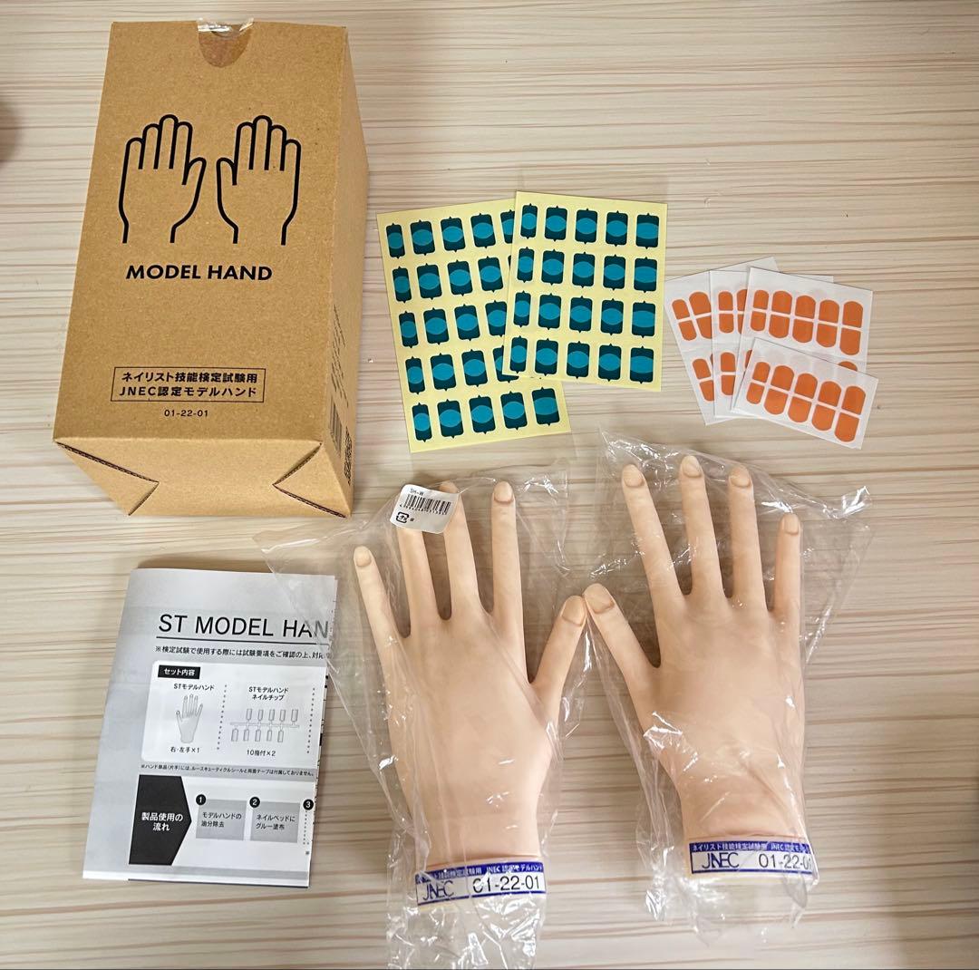 STモデルハンド ネイリスト技能検定試験用 認定モデルハンド