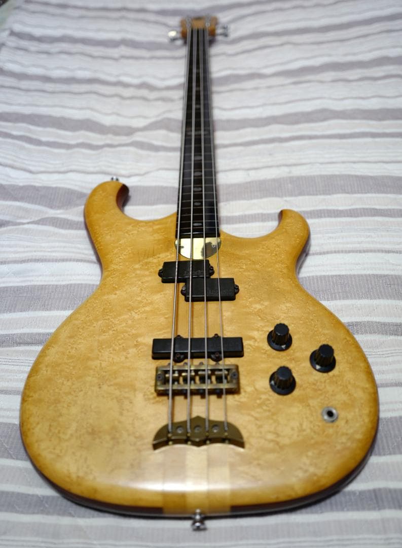 限定！ Alembic Persuader Fretless エポキシ