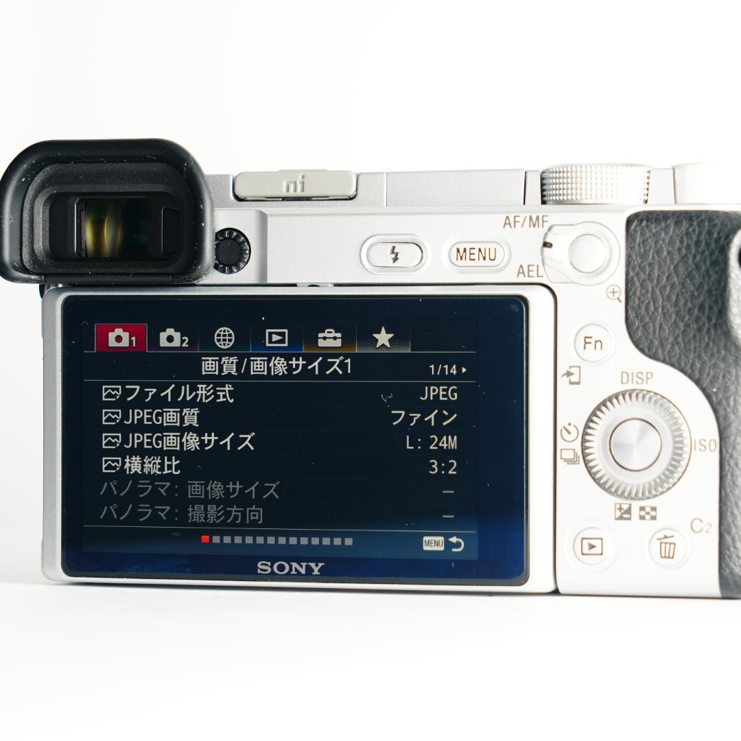 子どもの2度と戻らない瞬間を美しく、最高カメラ SONY α6400 ミラーレス