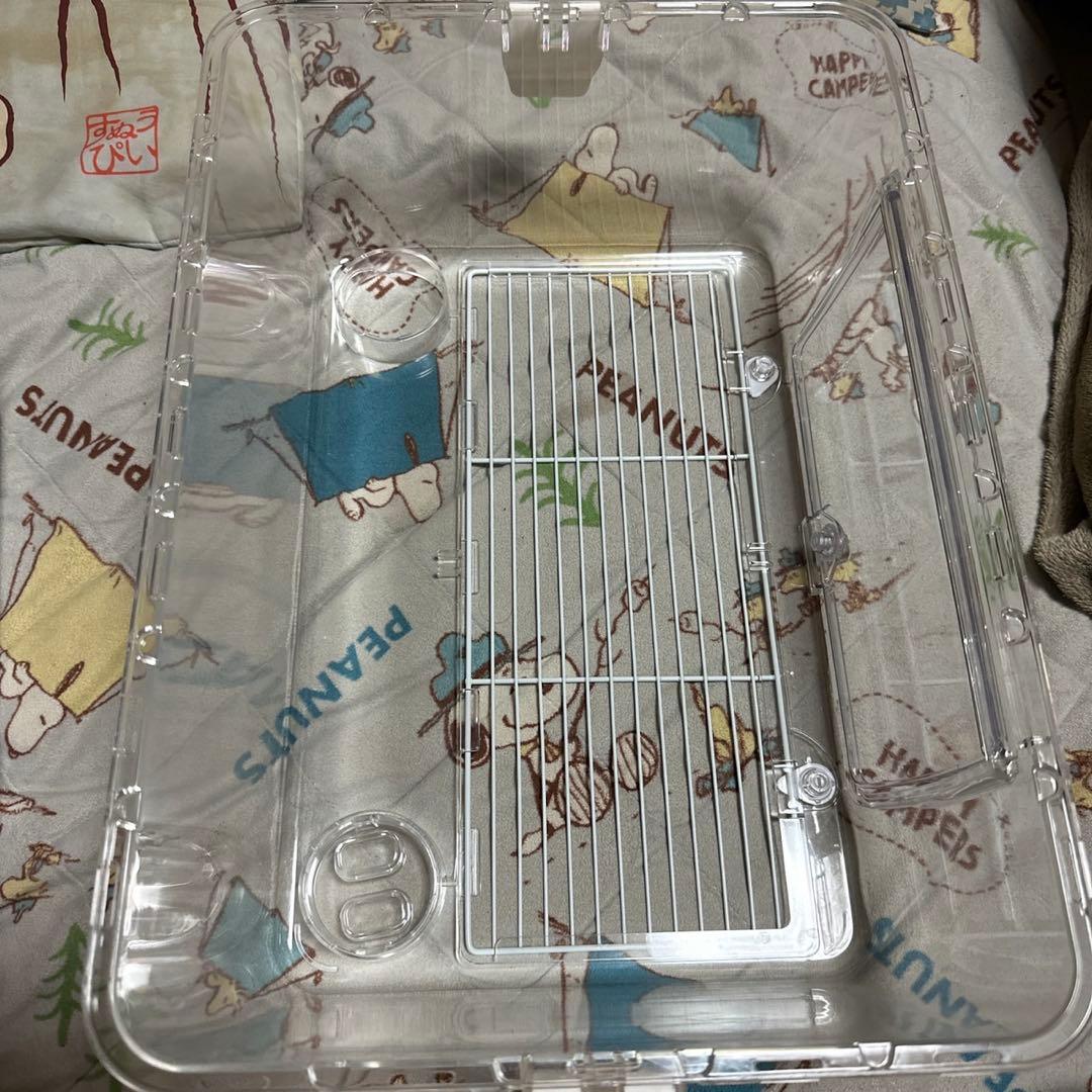 ルーミィグランスペースクリアー 床材と餌と砂付き