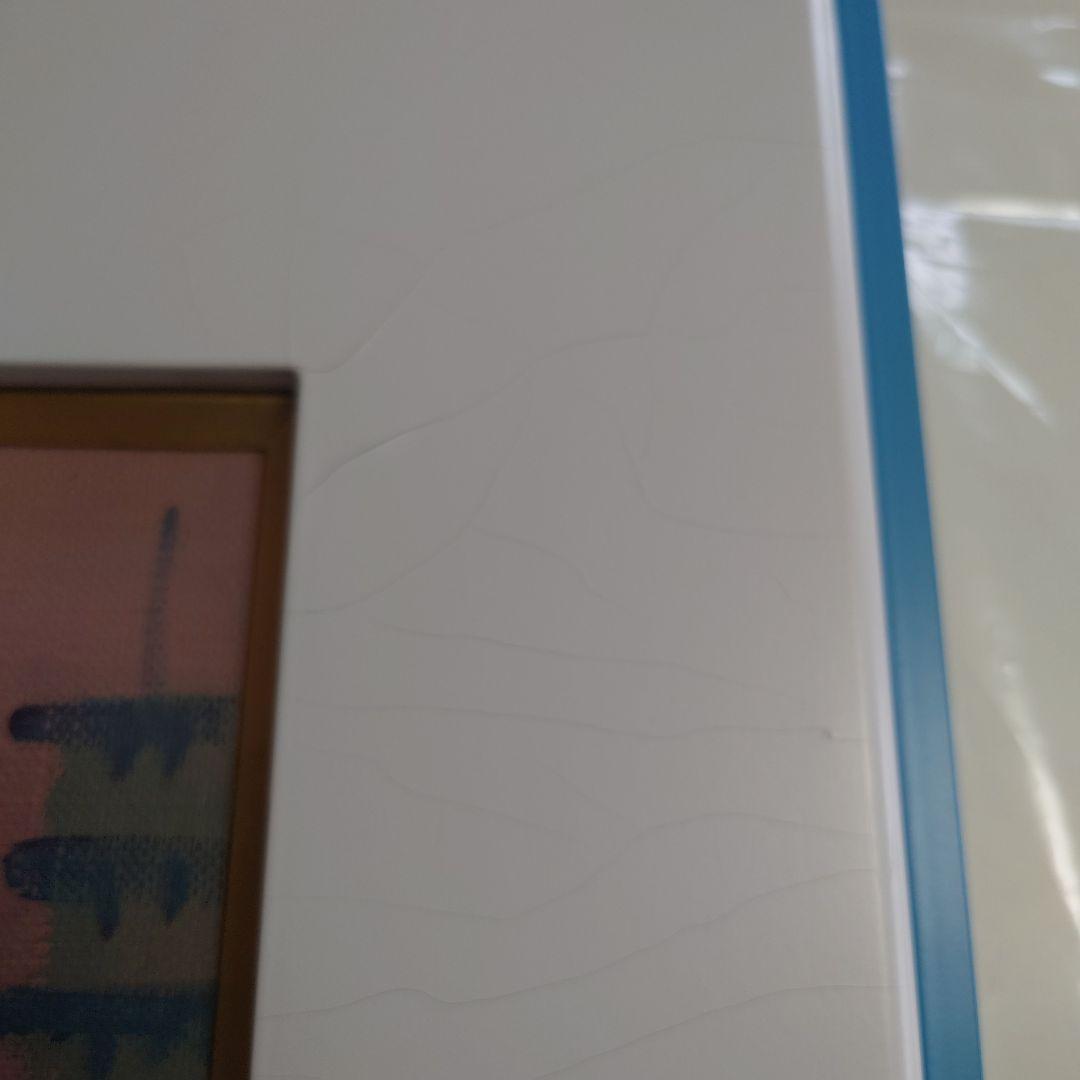 額縁 Bloodhound SSC