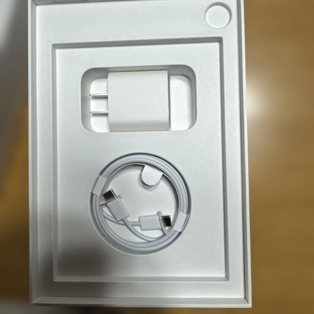 最終価格 Apple iPad mini 6 Cellular 256GB