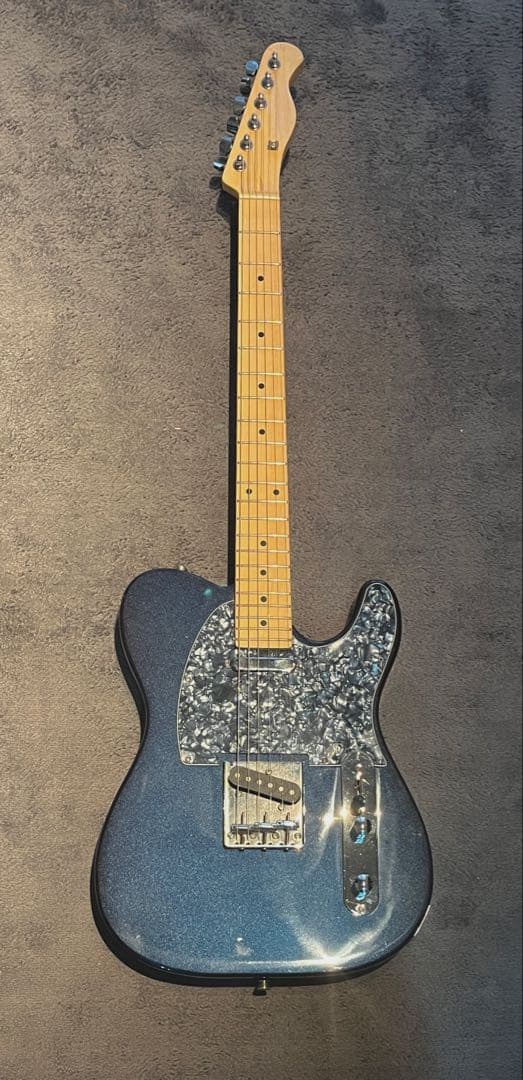 Bacchus テレキャスター カスタム品 エレキギター　ソフトケース付き